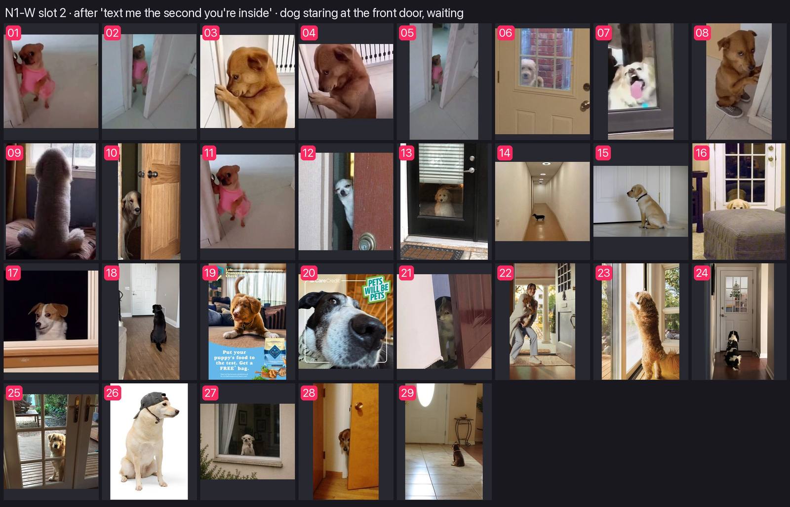 Numbered contact sheet of every candidate for n1w-2-dog