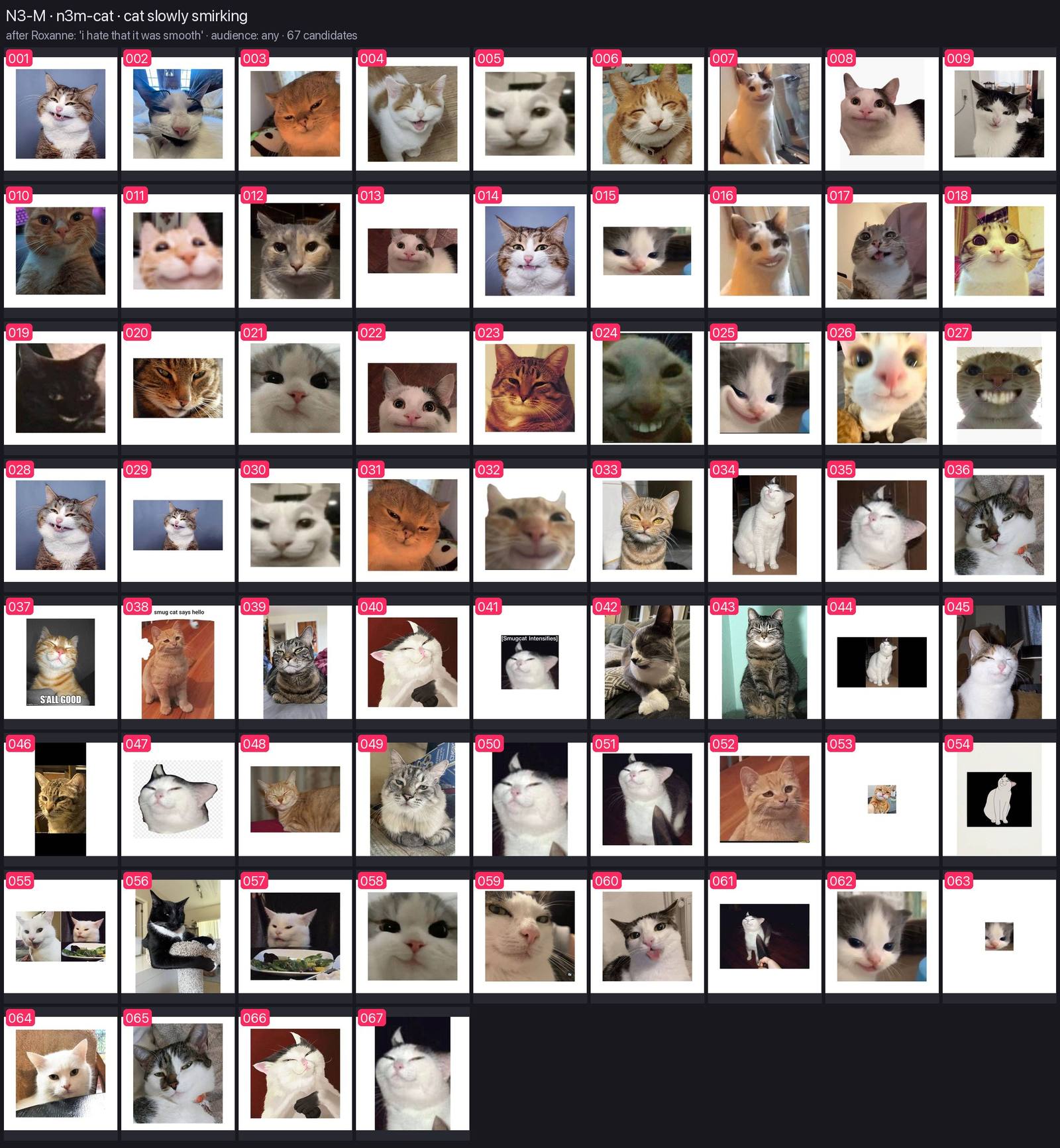 Numbered contact sheet of every candidate for n3m-cat